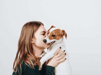 éducation du chiot